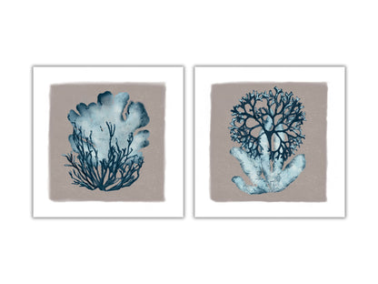 Artistic Sea Coral Canvas Wall Art - Tranquil Blue Design 01